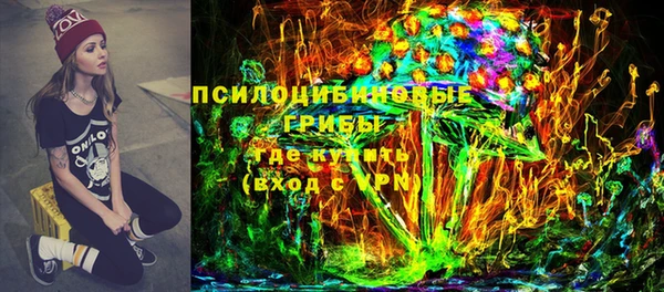 ешки Ельня